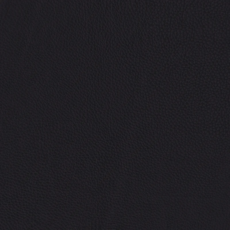 Black leather swatch