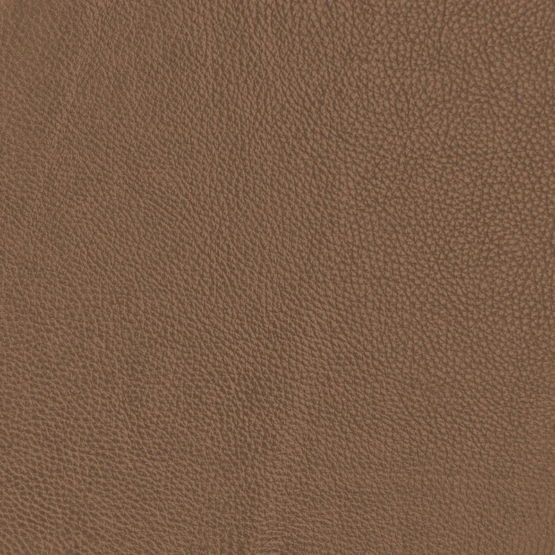 Camel leather swatch