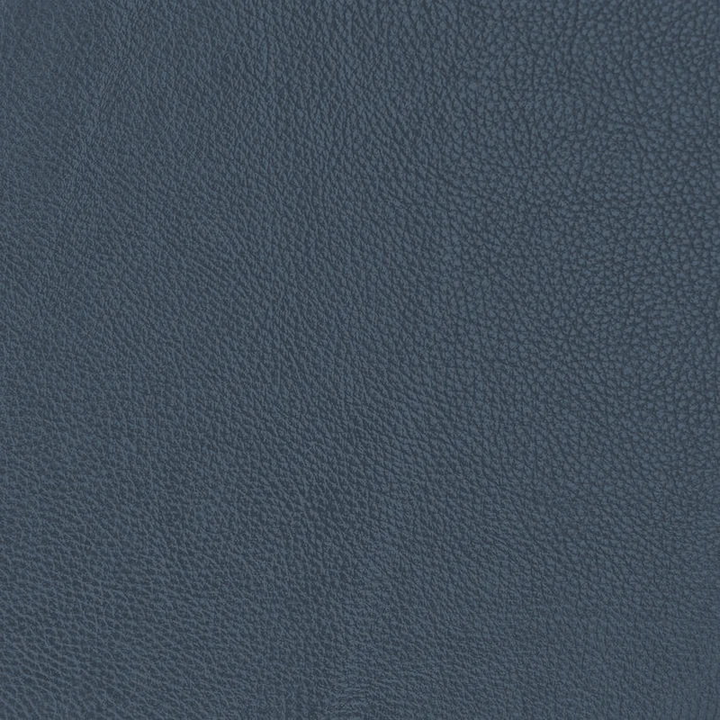 Charcoal Gray leather swatch