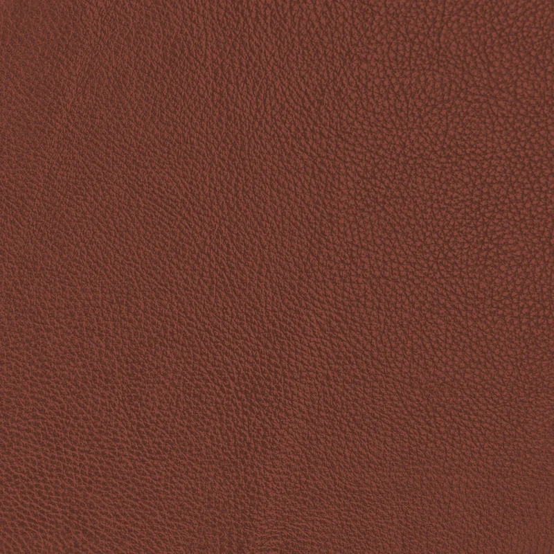 Cognac leather swatch